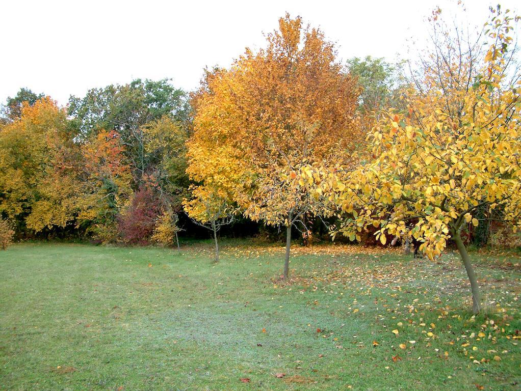 La Roseraie Neuville-du-Poitou Zewnętrze zdjęcie